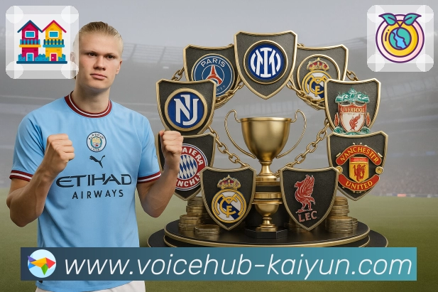 稳定入口登录器